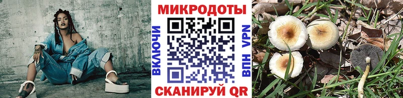 Псилоцибиновые грибы MAGIC MUSHROOMS  Купить  Красноперекопск 